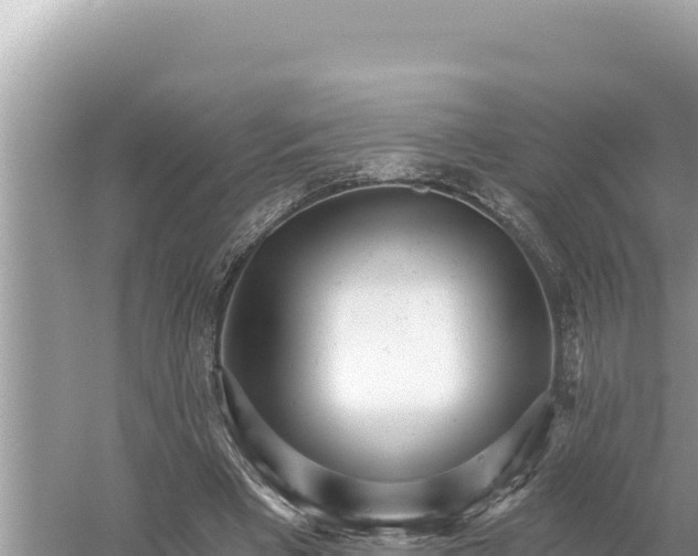 X0000059060393200510212032