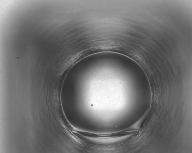 X0000059060397200510212032