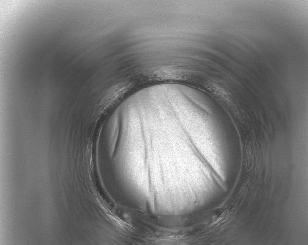 X0000059060398200510212032