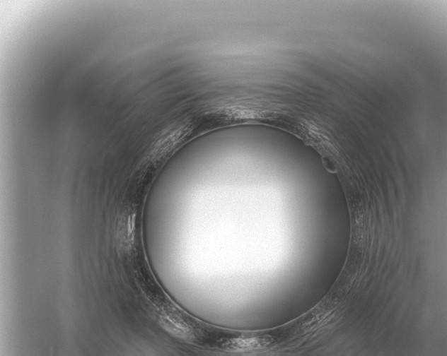 X0000059060406200510212032