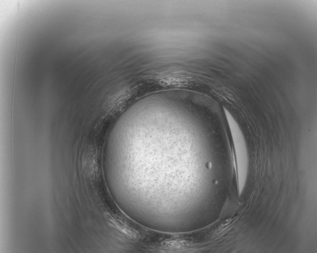 X0000059060408200510212032