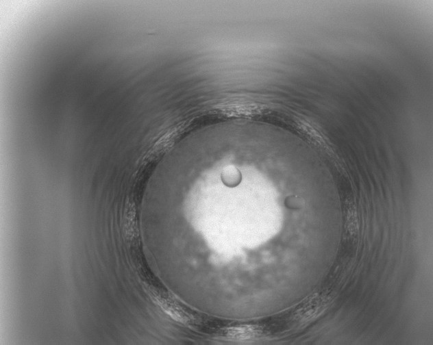 X0000059060411200510212032