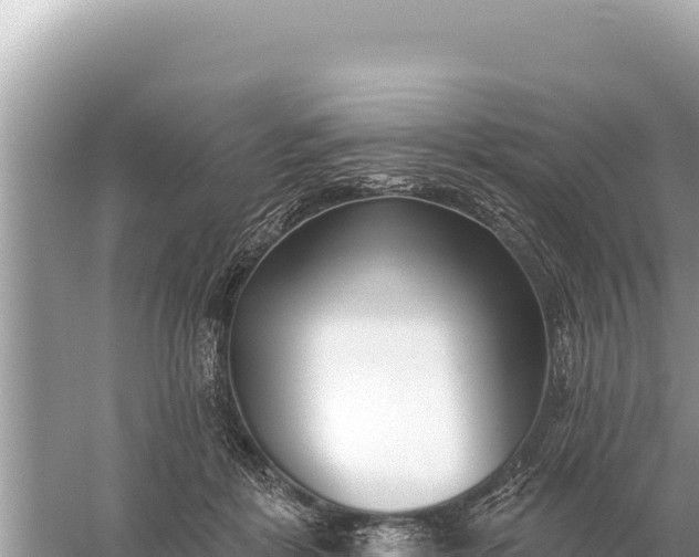 X0000059060412200510212032