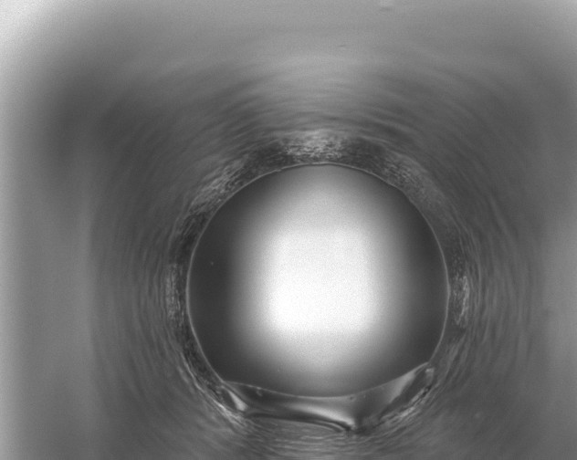 X0000059060416200510212032