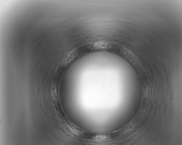 X0000059060418200510212032