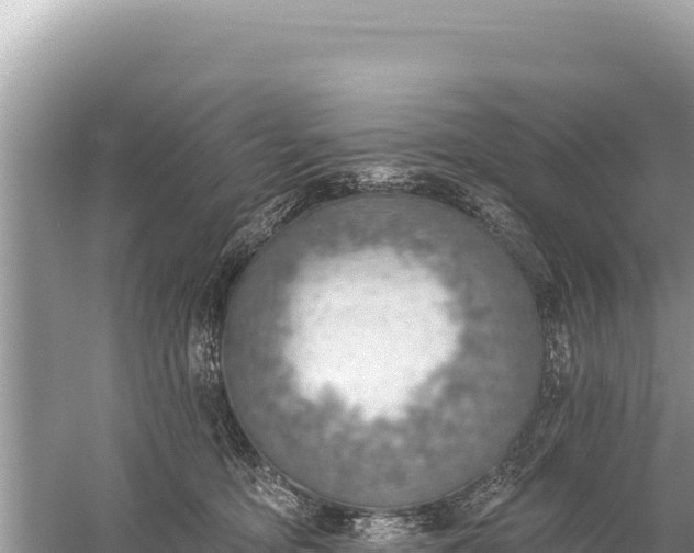 X0000059060419200510212032