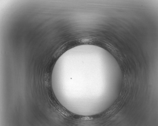 X0000059060421200510212032