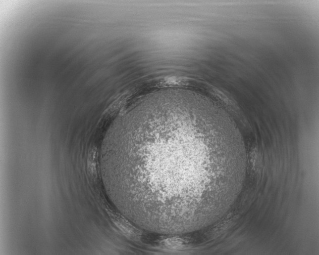 X0000059060423200510212032