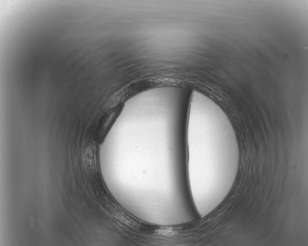 X0000059060425200510212032