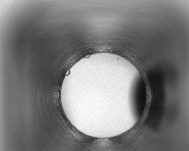 X0000059060427200510212032