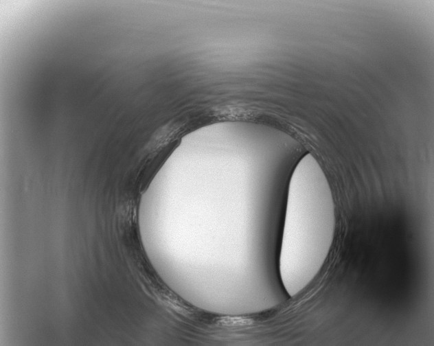 X0000059060429200510212032