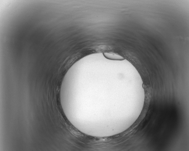 X0000059060430200510212032