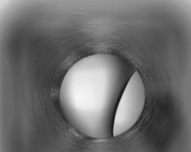 X0000059060432200510212031