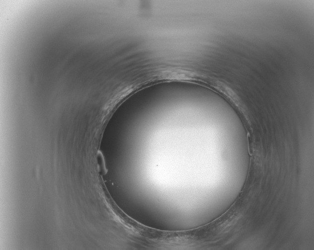 X0000059060433200510212031