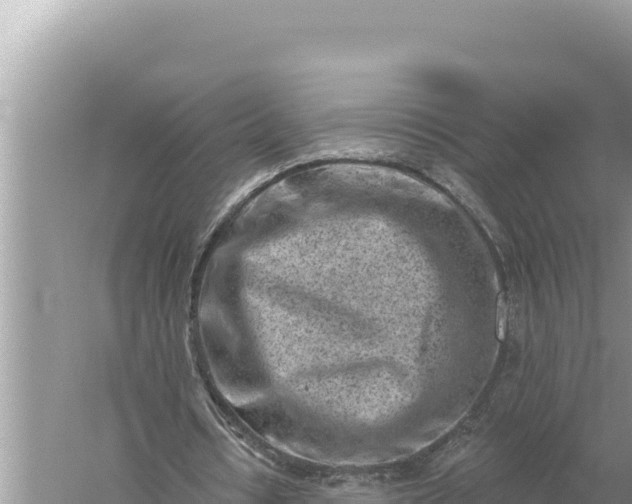 X0000059060434200510212031