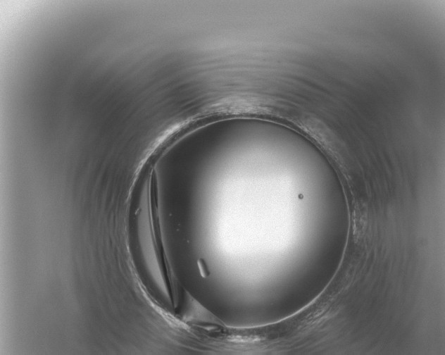 X0000059060438200510212031