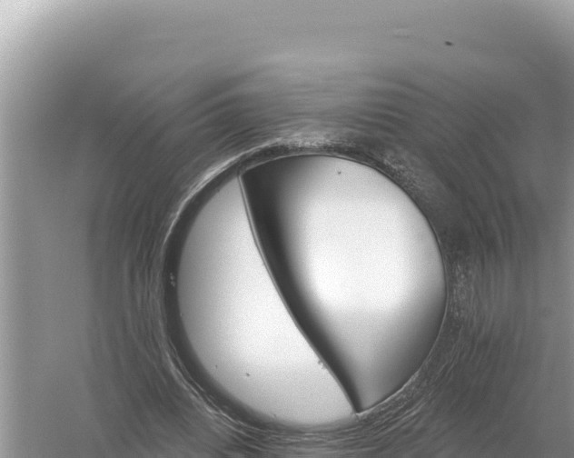 X0000059060440200510212031