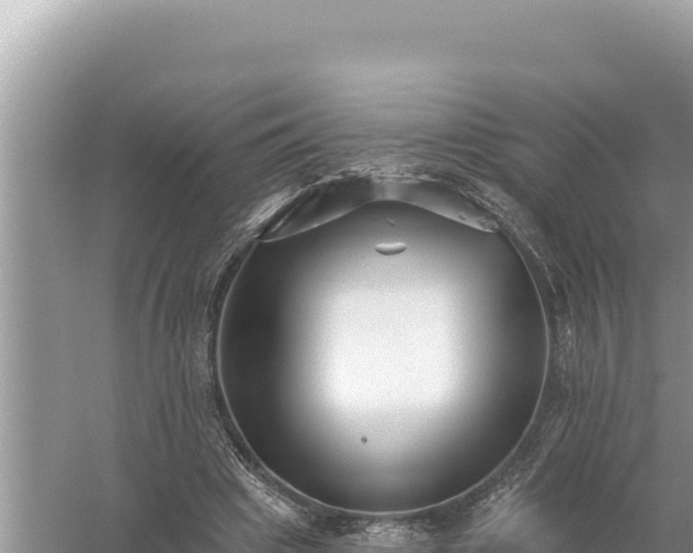 X0000059060441200510212031