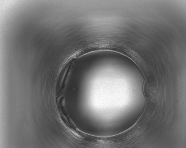 X0000059060442200510212031