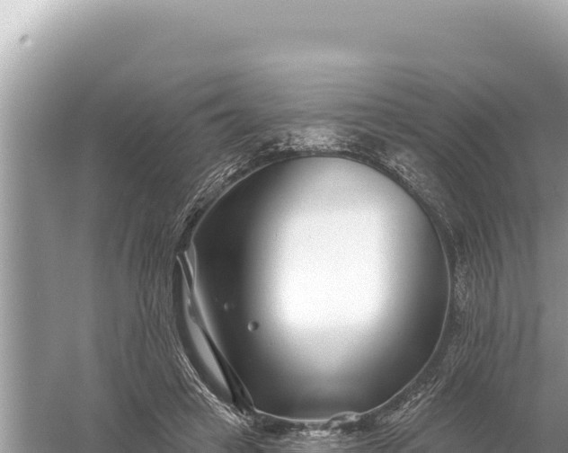 X0000059060449200510212031