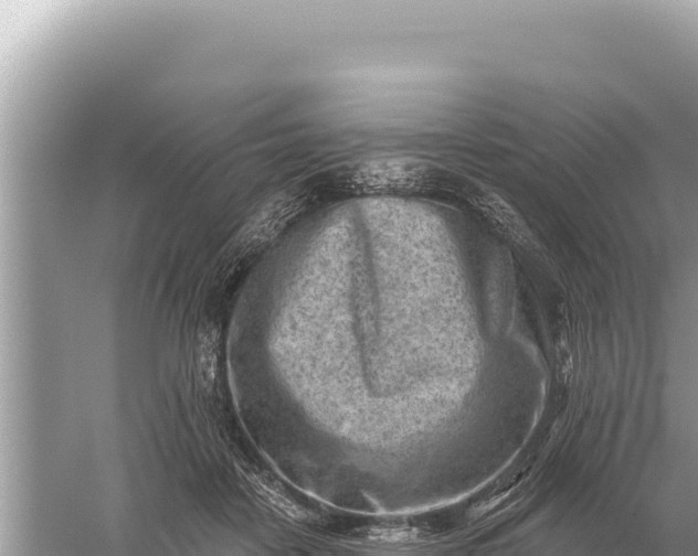 X0000059060458200510212031