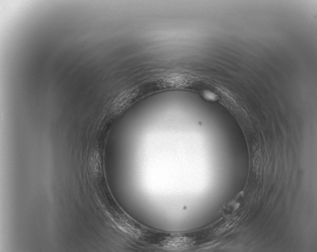 X0000059060459200510212031