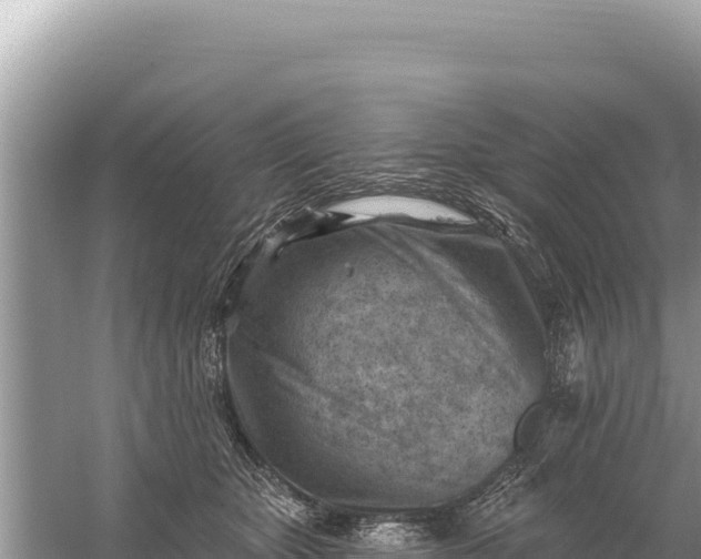 X0000059060467200510212031