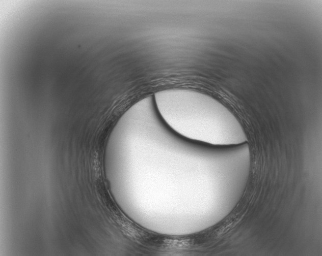 X0000059060469200510212031