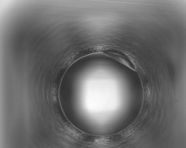 X0000059060470200510212031