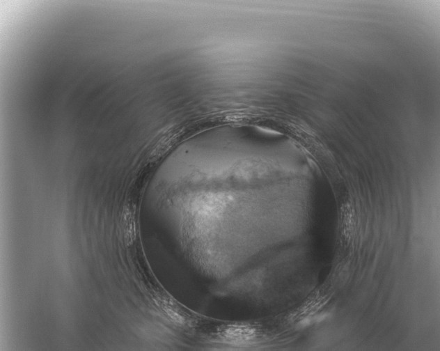 X0000059060471200510212031