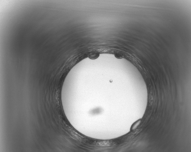 X0000059060473200510212031