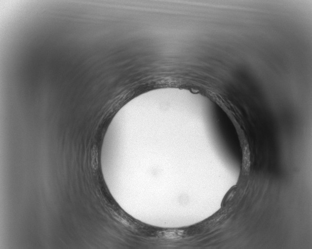 X0000059060474200510212031