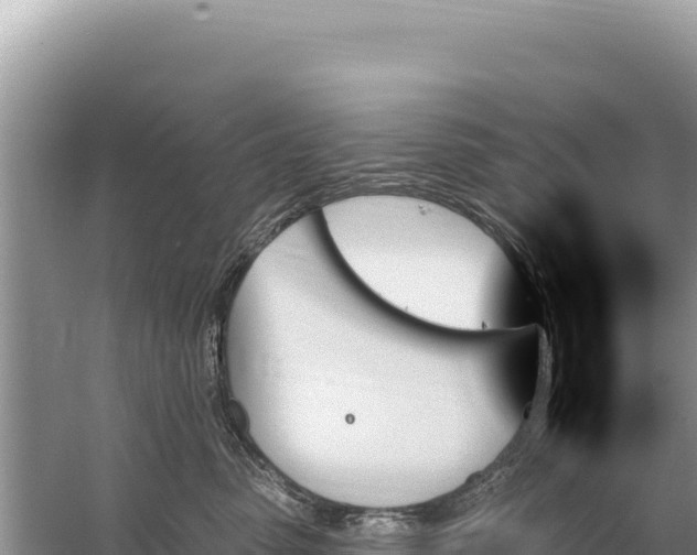 X0000059060475200510212031