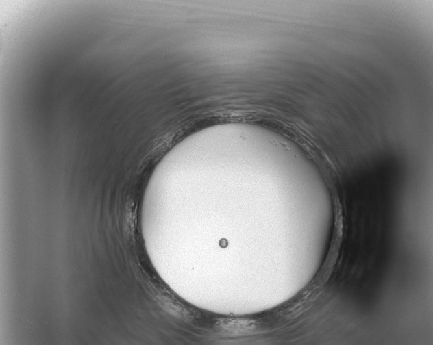 X0000059060476200510212031