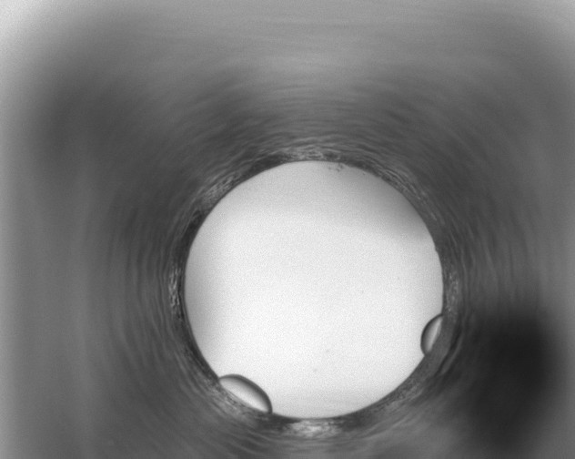 X0000059060477200510212031