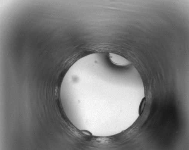 X0000059060478200510212031