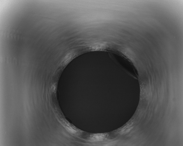 X0000059060479200510212031