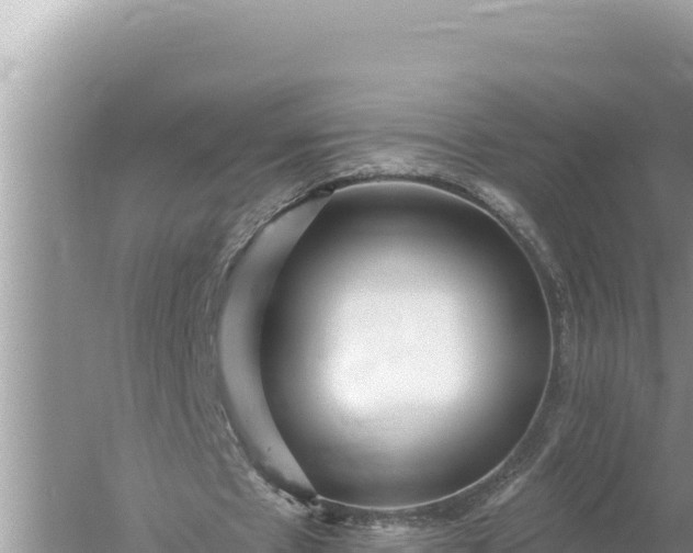 X0000059060481200510212031