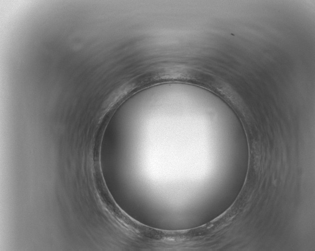 X0000059060482200510212031