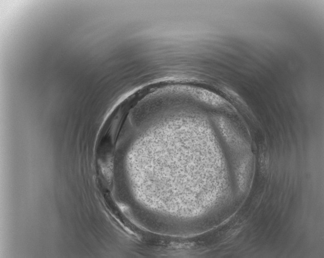 X0000059060484200510212031