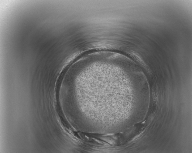 X0000059060488200510212031