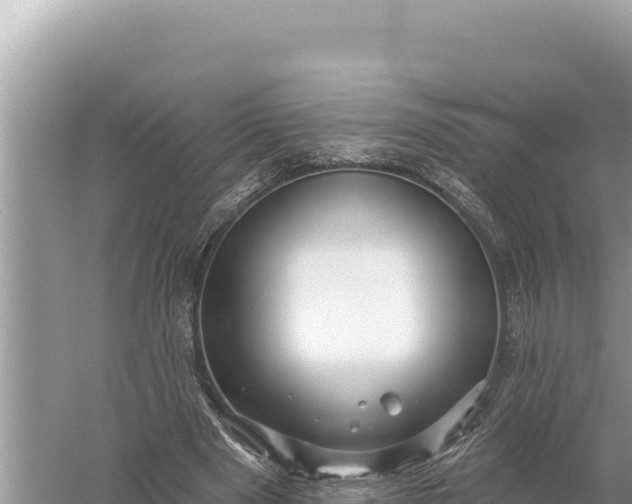 X0000059060489200510212031