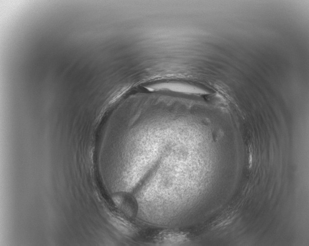 X0000059060491200510212030