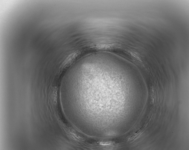 X0000059060495200510212030