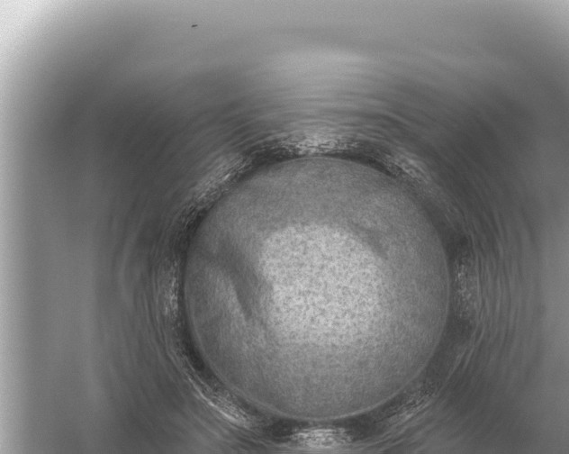 X0000059060499200510212030