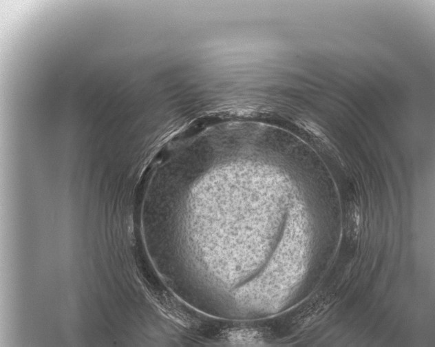 X0000059060500200510212030