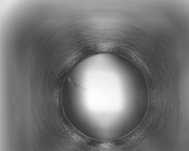 X0000059060505200510212030