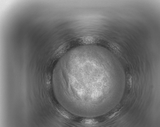 X0000059060507200510212030