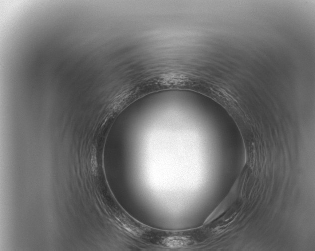 X0000059060508200510212030