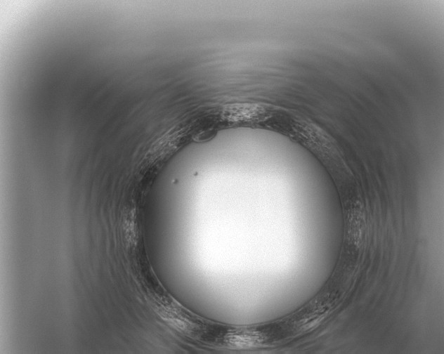 X0000059060510200510212030